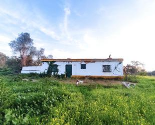 Vista exterior de Casa o xalet en venda en Gibraleón amb Piscina