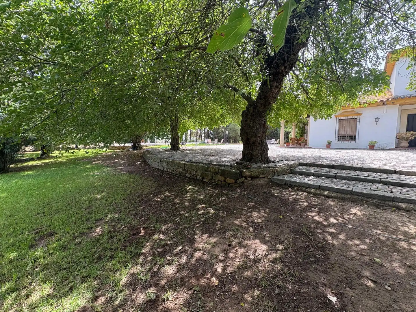 Casa o xalet en venda en Córdoba amb Aire condicionat, Jardí privat i Piscina