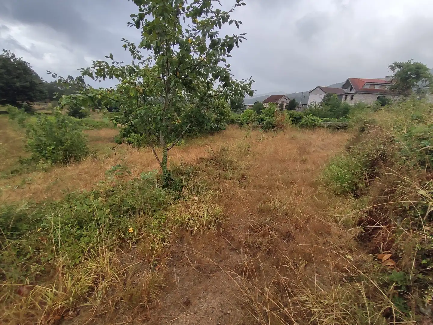 Casa amb jardí en venda a Ponteareas, imagen 5
