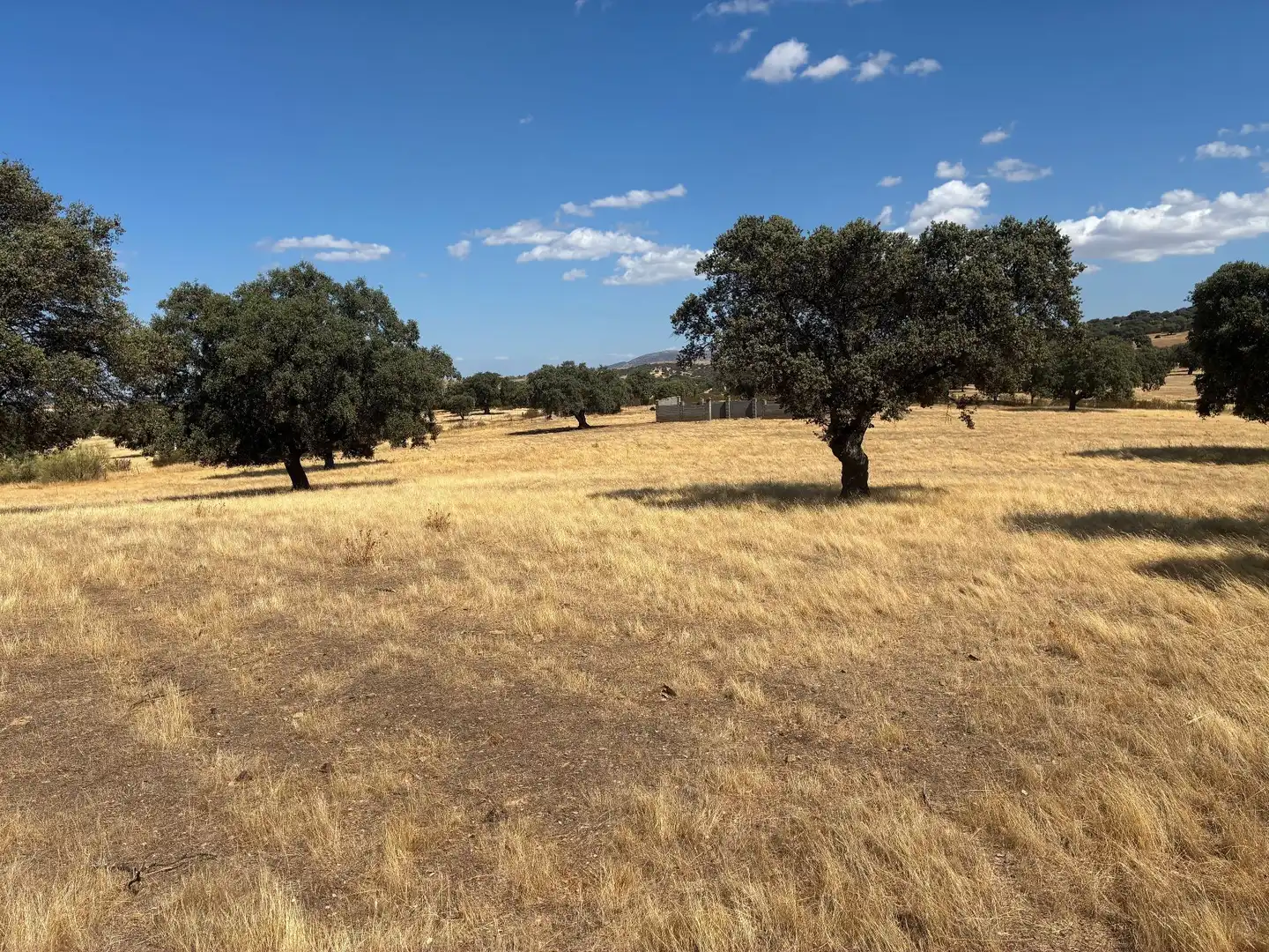 Terreno rustico in vendita a Mohedas de la Jara, imagen 2