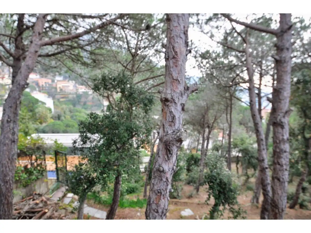 Jardín de Terreno industrial en venta en Lloret de Mar