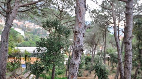 Foto 3 de Terreny industrial en venda a Poblat Iberic, 7, Roca Grossa, Girona