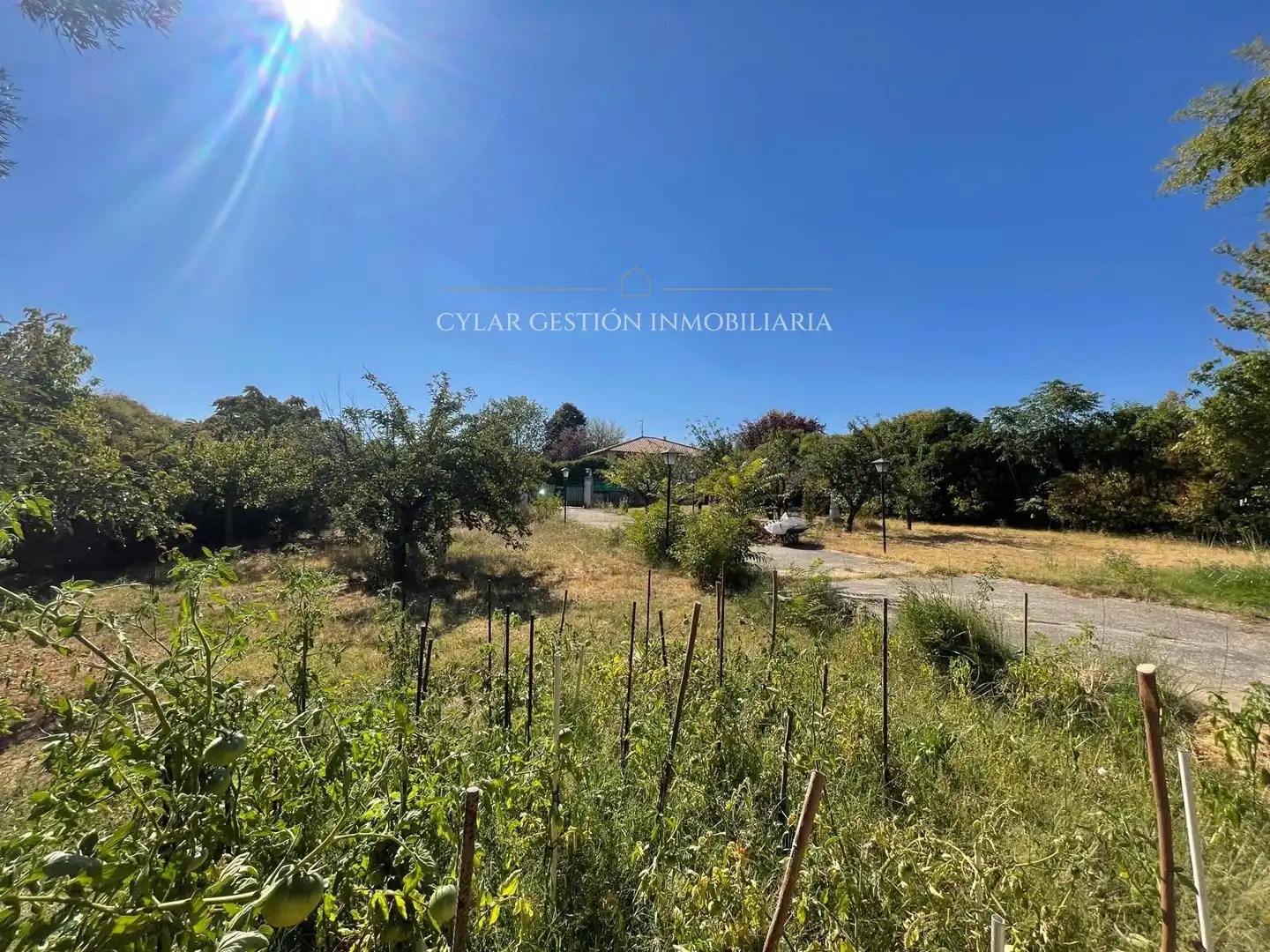 Rural land for sale in ALONDRA, imagen 26
