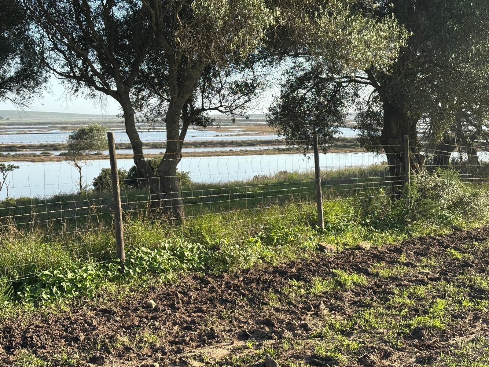Residential for sale in Barbate