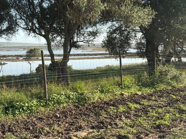Wohnbaugrundstück zum Verkauf in Vejer