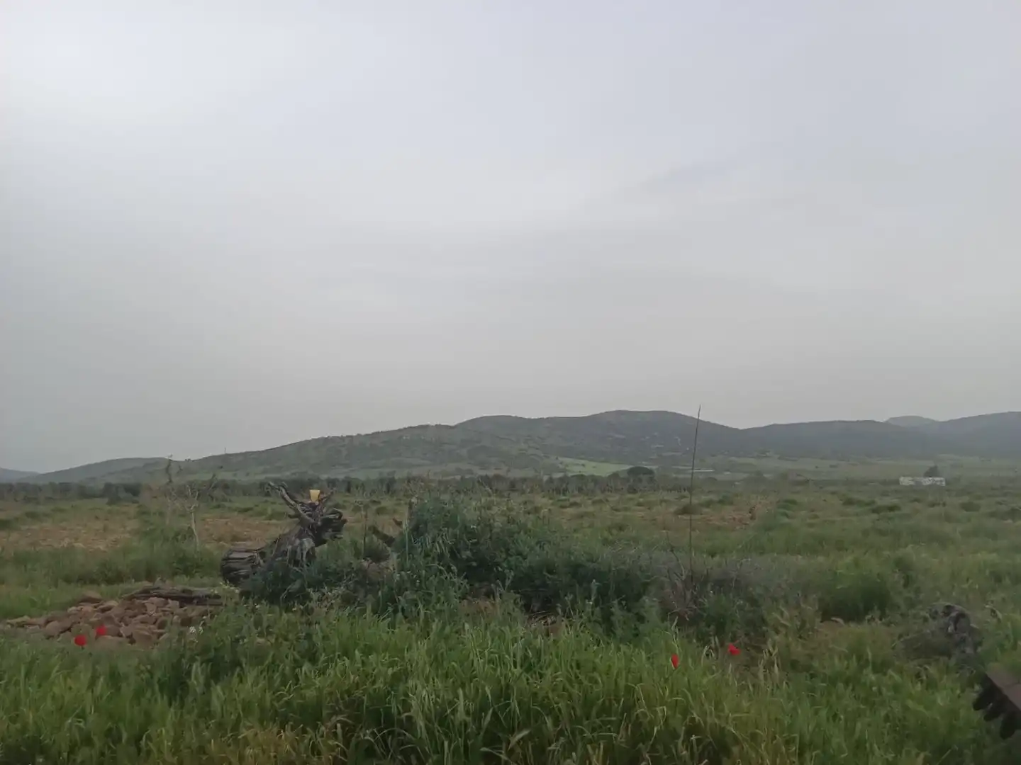 Casa rústica en venda a Fuente el Fresno, imagen 27