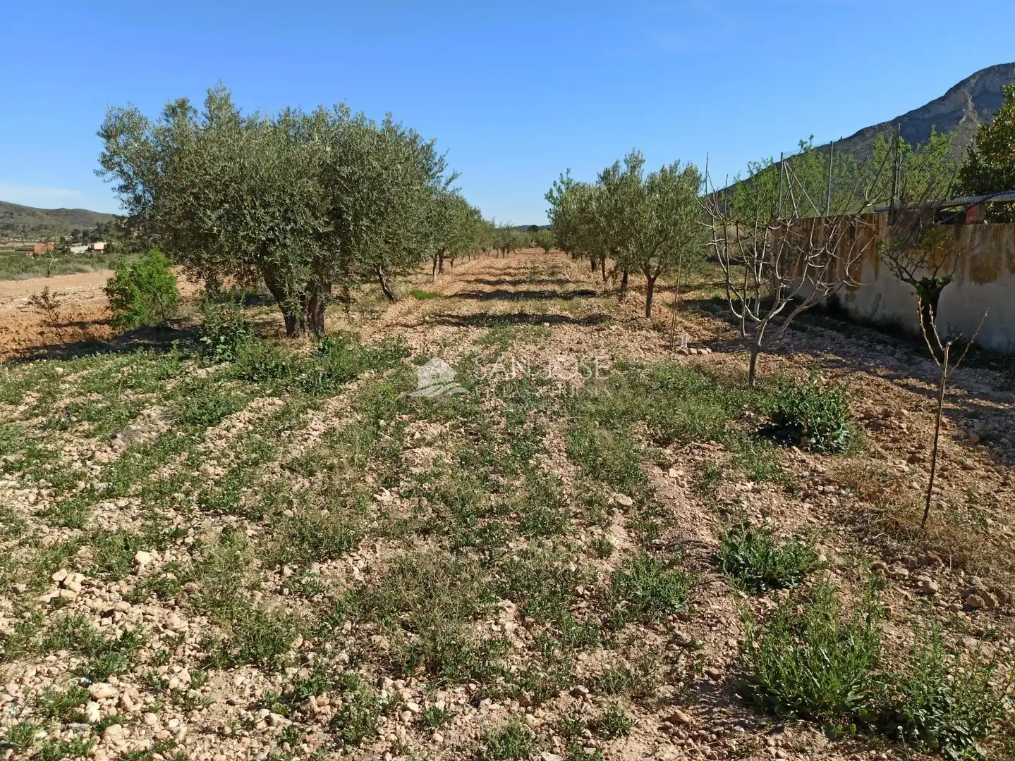 Casa o chalet en venta en Abanilla con Calefacción y Amueblado