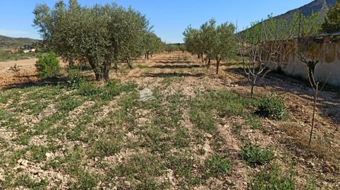 Foto 4 de Casa o chalet en venta en Abanilla, Murcia