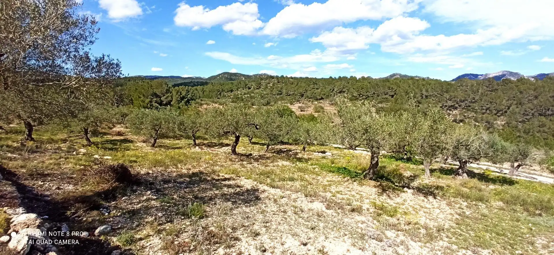 Maison rustique avec jardin à vendre à Tivissa, imagen 4