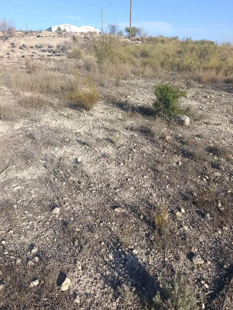 Industrial land for sale in Bullas, Murcia