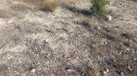 Photo 4 of Industrial land for sale in Bullas, Murcia