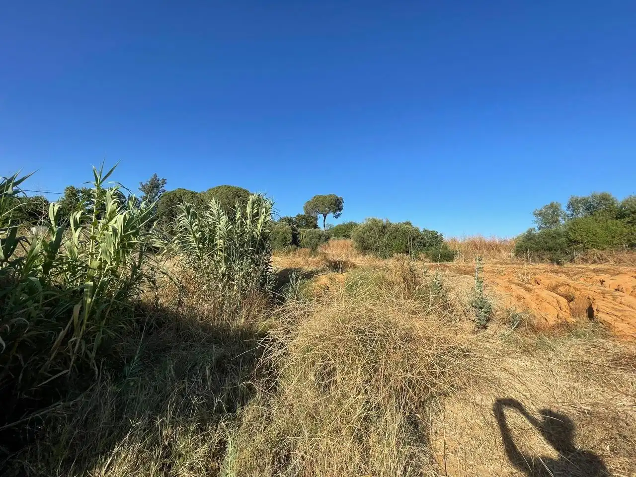 Terreni e lotti in vendita a La Puebla del Río, imagen 3
