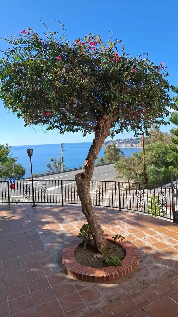 Casa con jardín en venta en Monte los Almendros - El Pargo - Costa Aguilera, imagen 92
