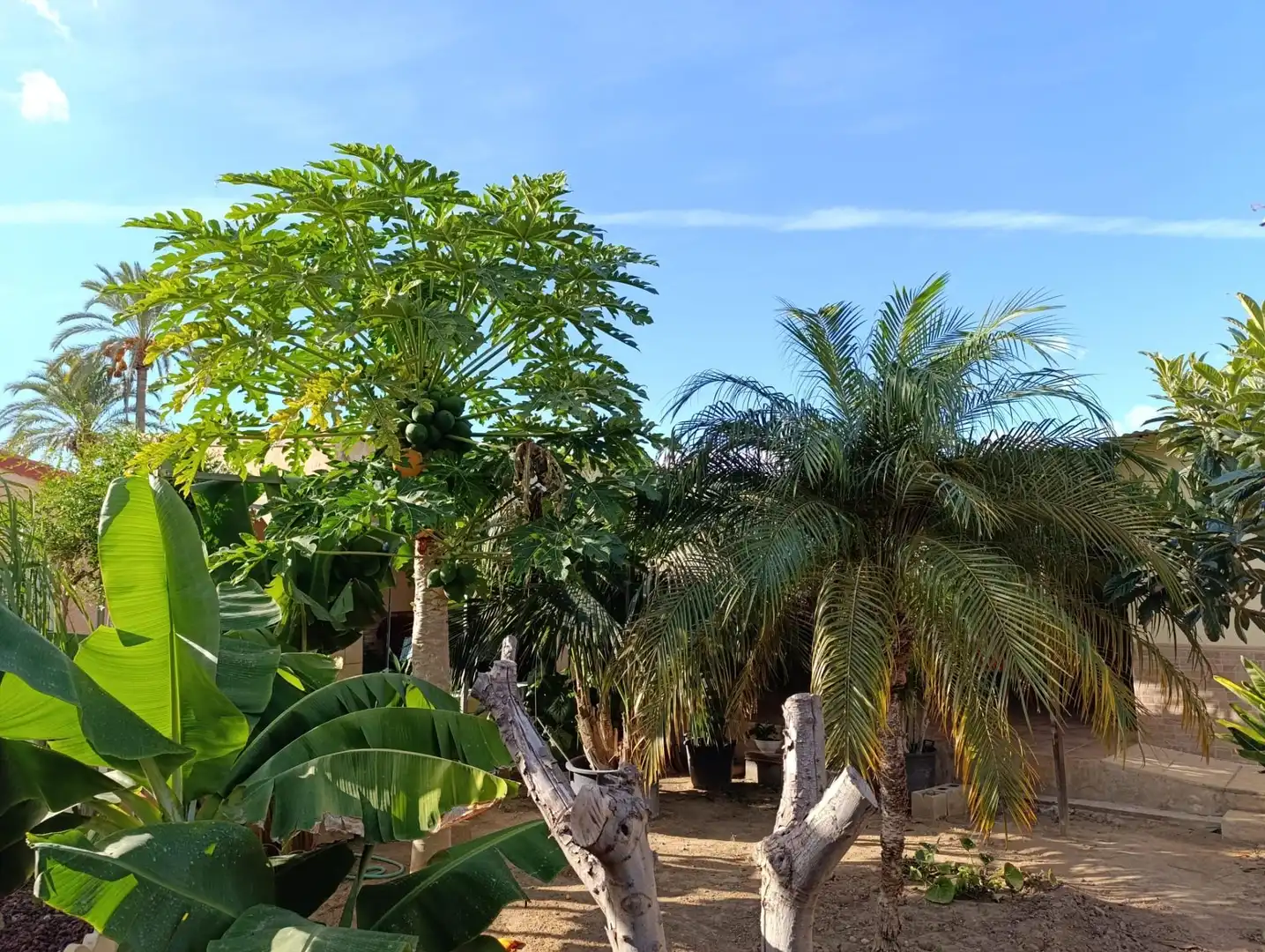 Villa con piscina in vendita a La Algoda - Matola - Llano de San José, imagen 40