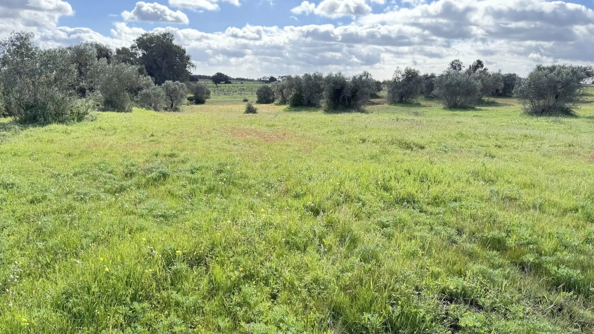 Country homes for sale in Gibraleón
