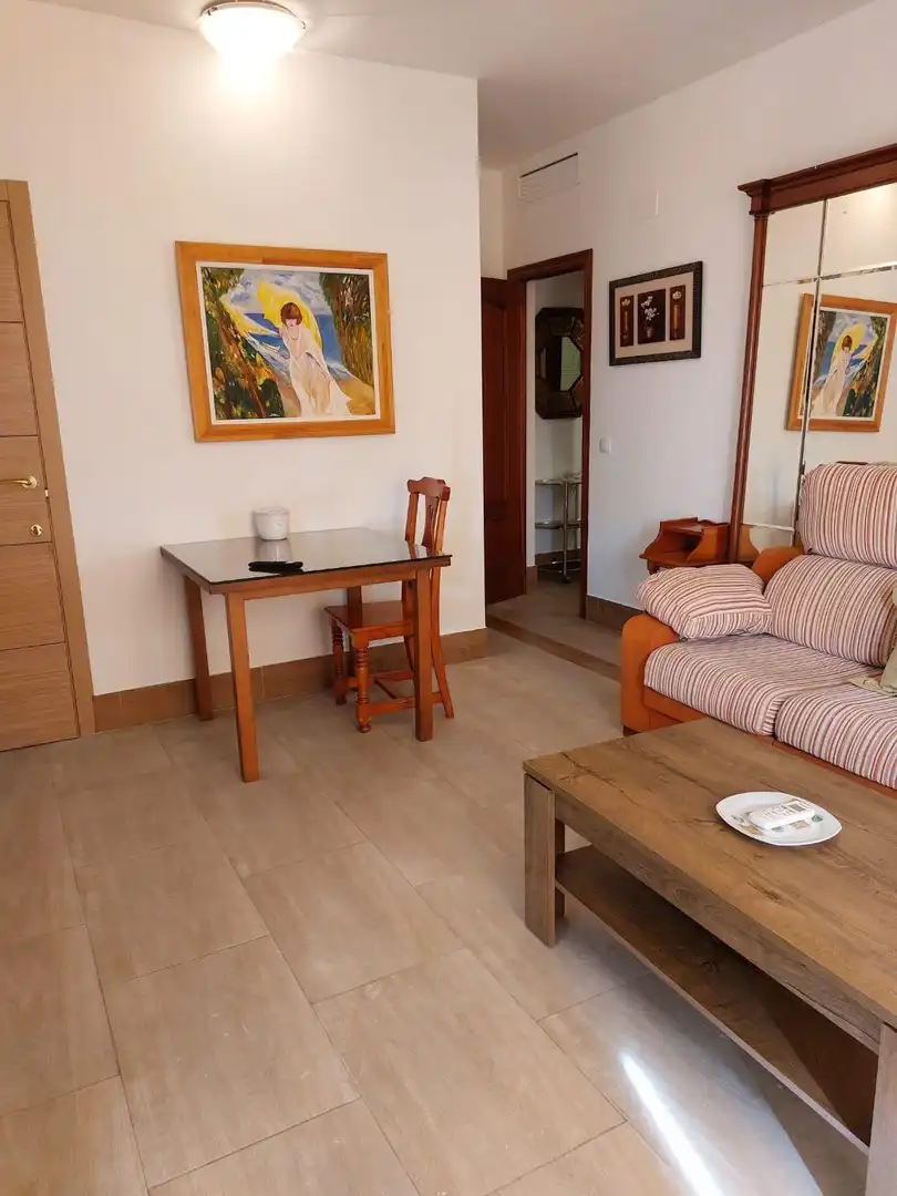 Sala d'estar de Pis de lloguer en Córdoba amb Aire condicionat, Terrassa i Moblat