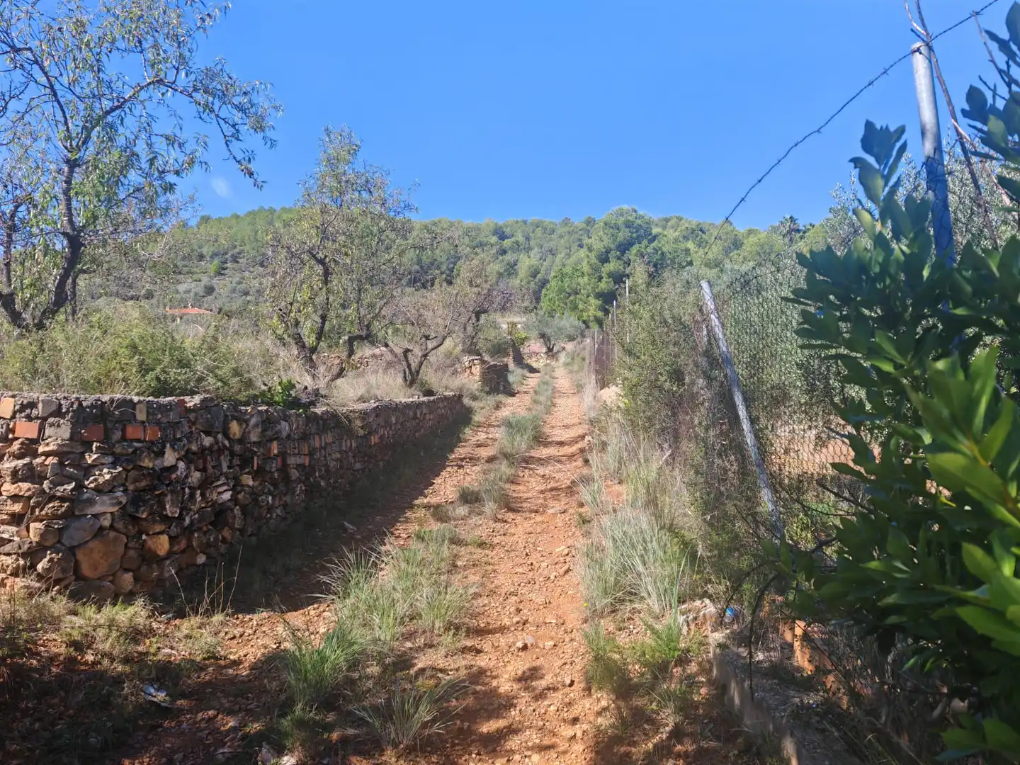 Rural land for sale in Onda, imagen 2