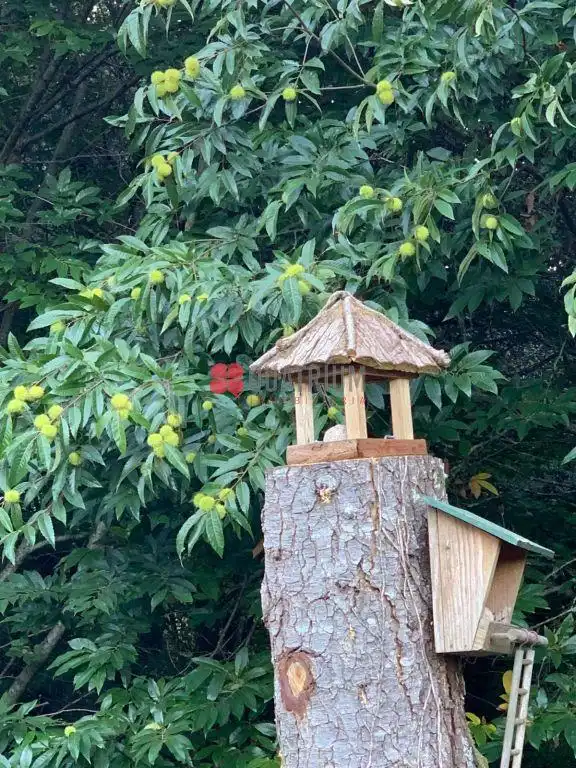 Jardí de Casa o xalet en venda en Ames amb Jardí privat
