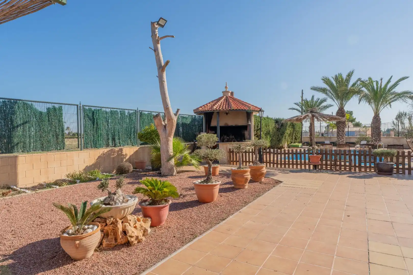 Jardín de Casa o chalet en venta en Elche / Elx con Trastero, Piscina y Balcón