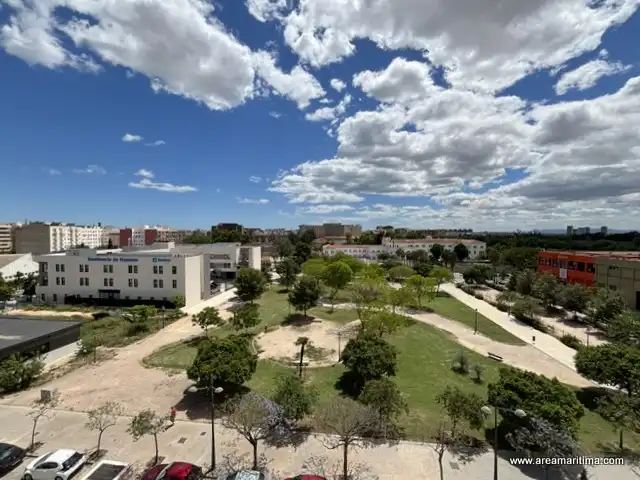 Pis de lloguer a Carrer de Campos Crespo, Sant Isidre