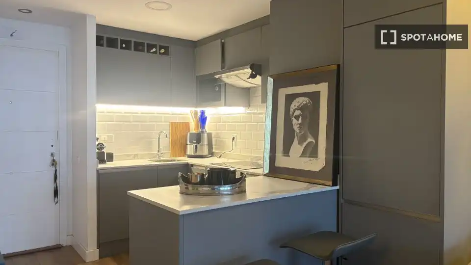 Kitchen of Flat for rent in Madrid  with Air Conditioner, Heating and Furnished
