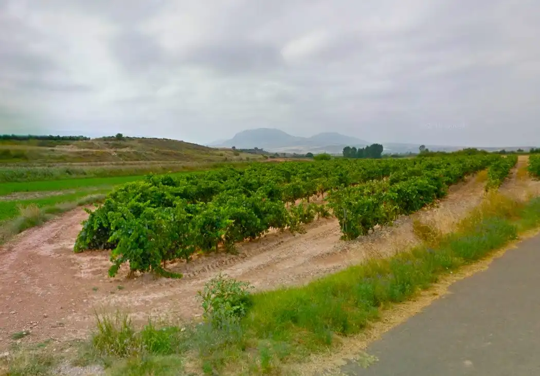 Terrenys i solars en venda a Alberite