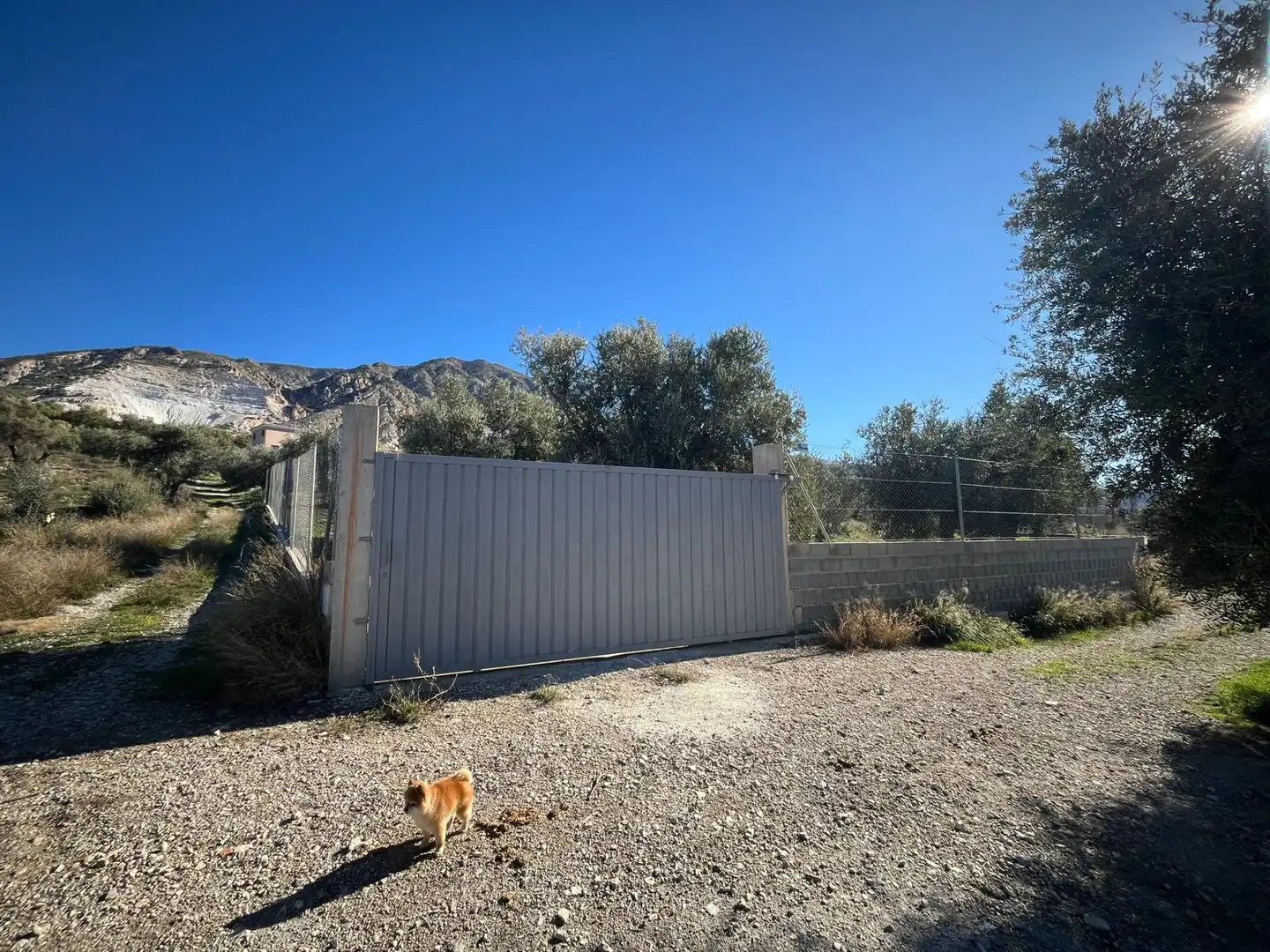Rural land for sale in Calle Jose Saramago, imagen 9