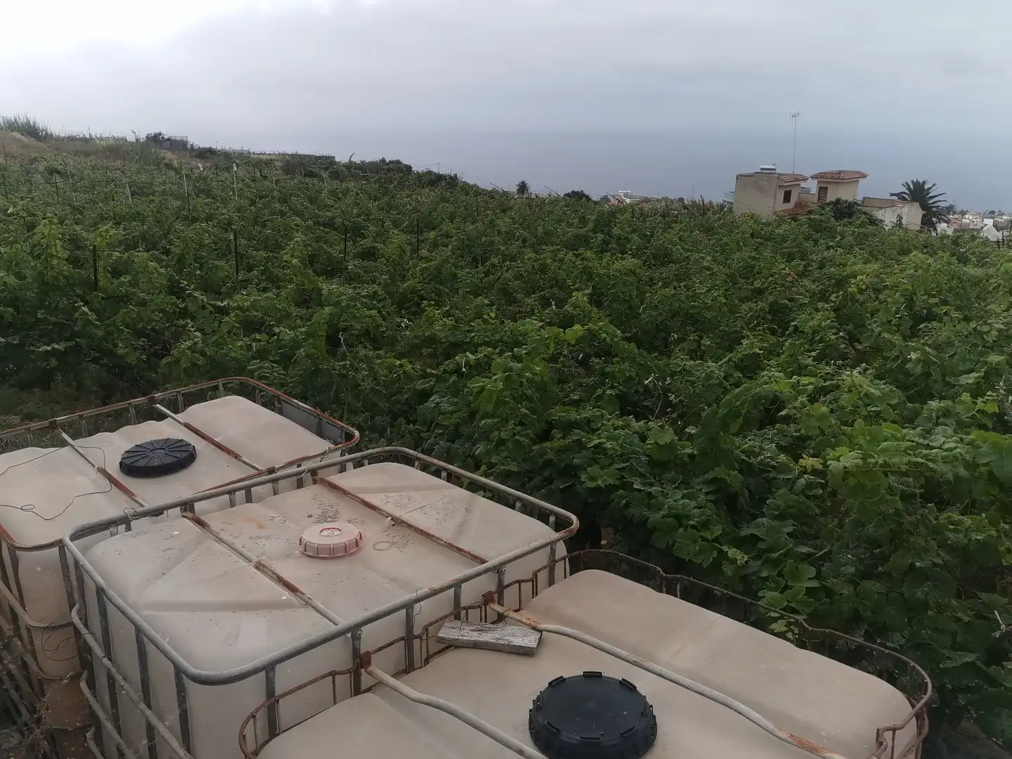 Terreno en venta en Calle la Bastona, Santa Úrsula pueblo