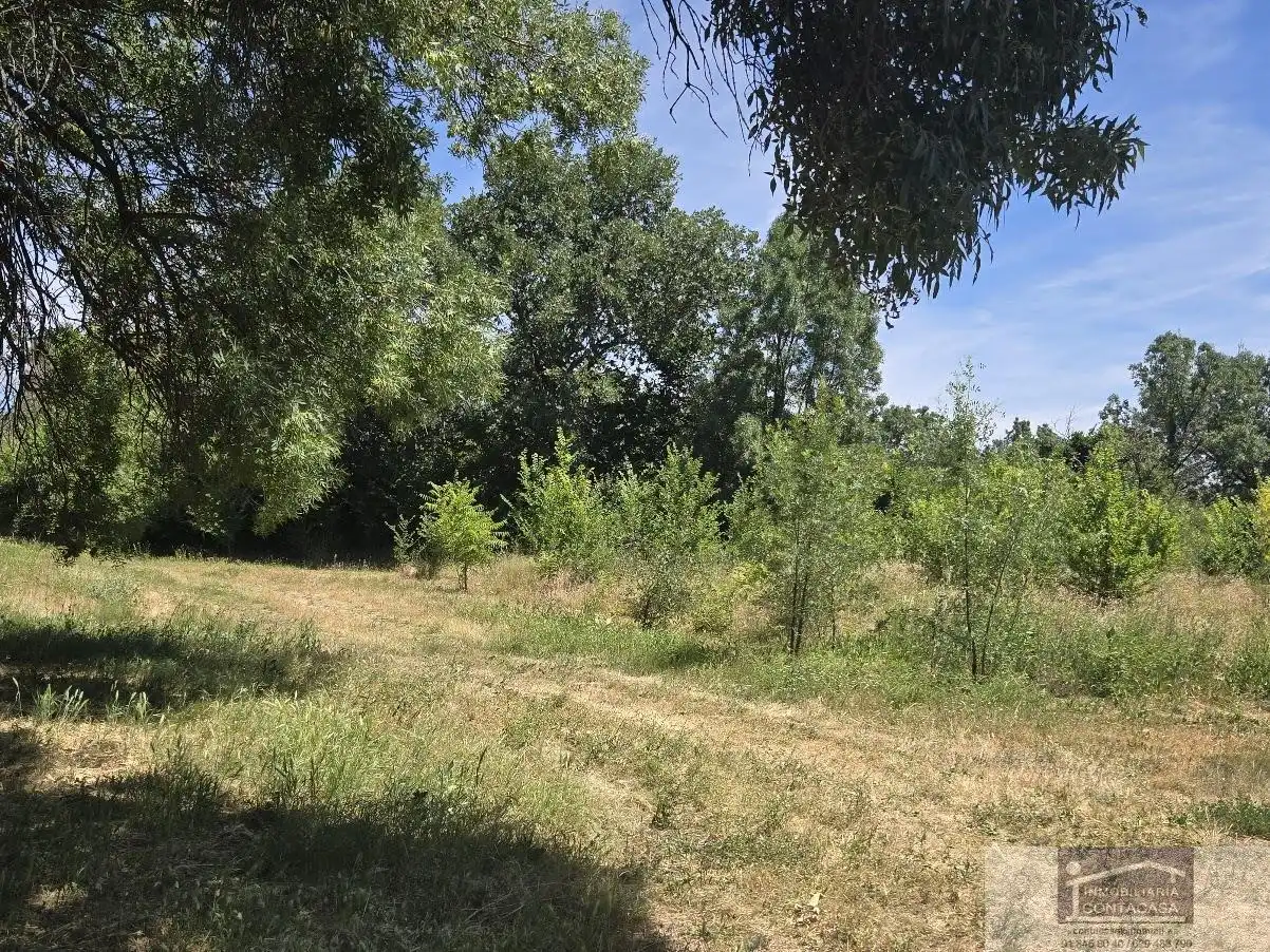 Finca rústica en venta en La Moraleja