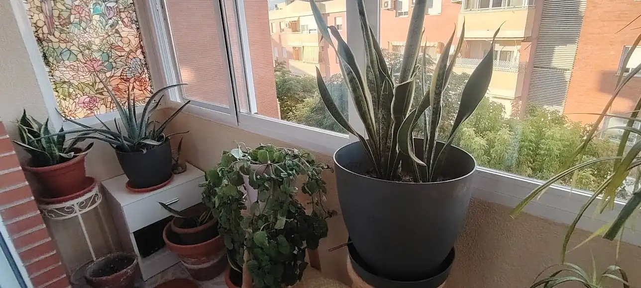 Terrasse von Wohnung zum Verkauf in Linares mit Klimaanlage, Heizung und Privatgarten
