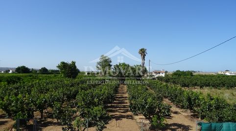 Foto 3 de Finca rústica en venda a Guadassuar, Valencia