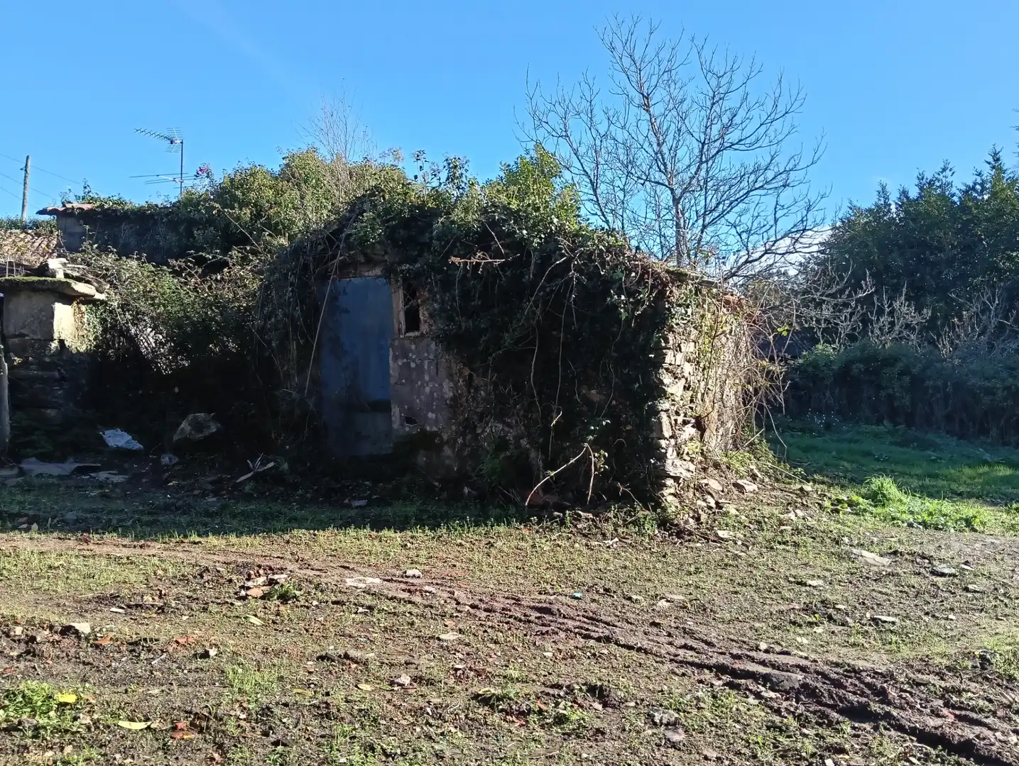 Maison à vendre à Cesuras, imagen 2