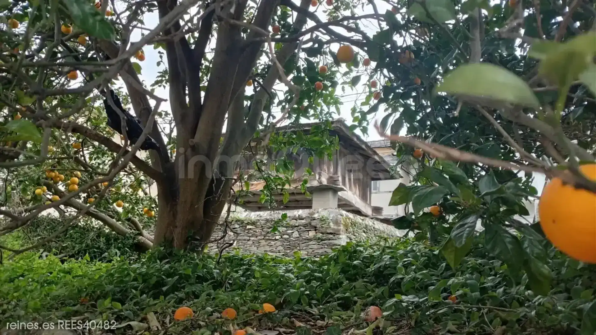 Casa o chalet en venta en Coaña con Jardín privado