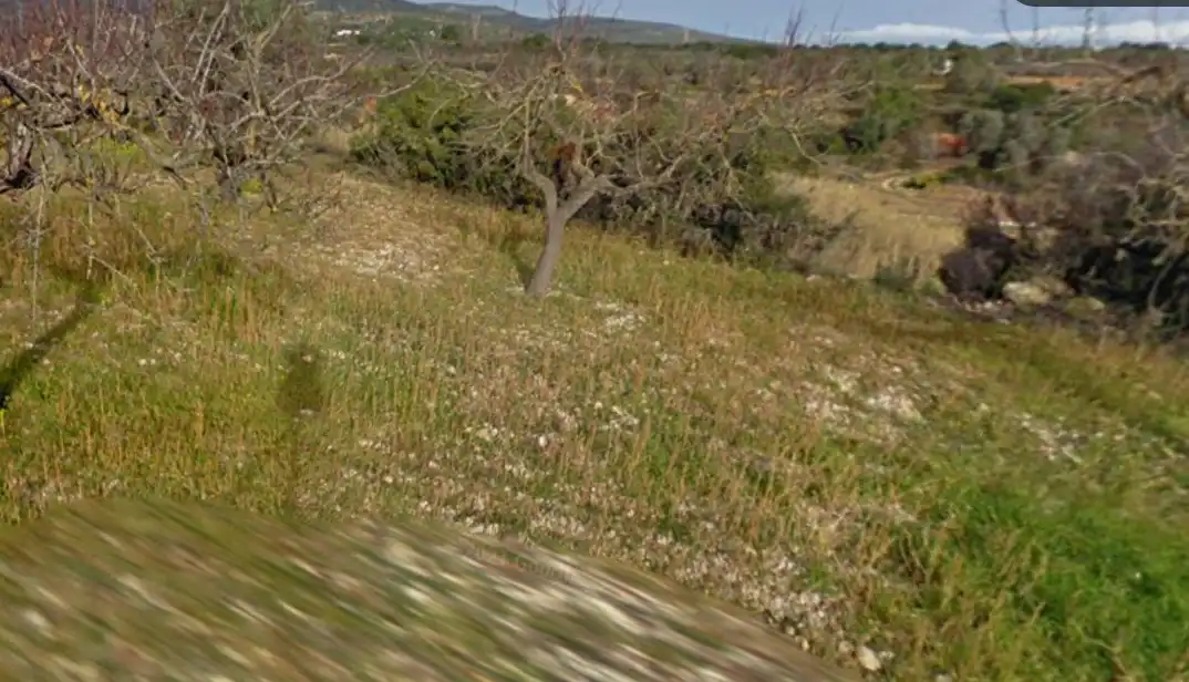 Terreno rustico in vendita a Les Coves de Vinromà, imagen 3