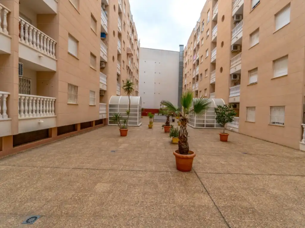 Vista exterior de Apartament en venda en Torrevieja amb Piscina comunitària