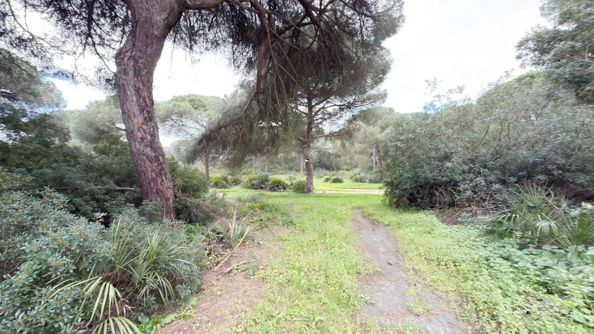 Finca rústica en venta en Punta Umbría