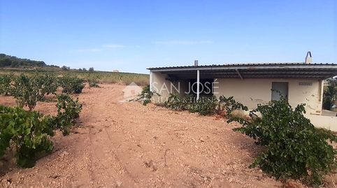 SE VENDE PARCELA EN PRODUCCION DE VIÑA MONASTRELL CON CASA, ALGUEÑA, ABANILLA, CASA VITIA, immagine 5