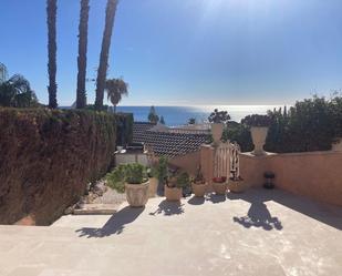 Jardí de Estudi de lloguer en Alicante / Alacant amb Aire condicionat i Terrassa