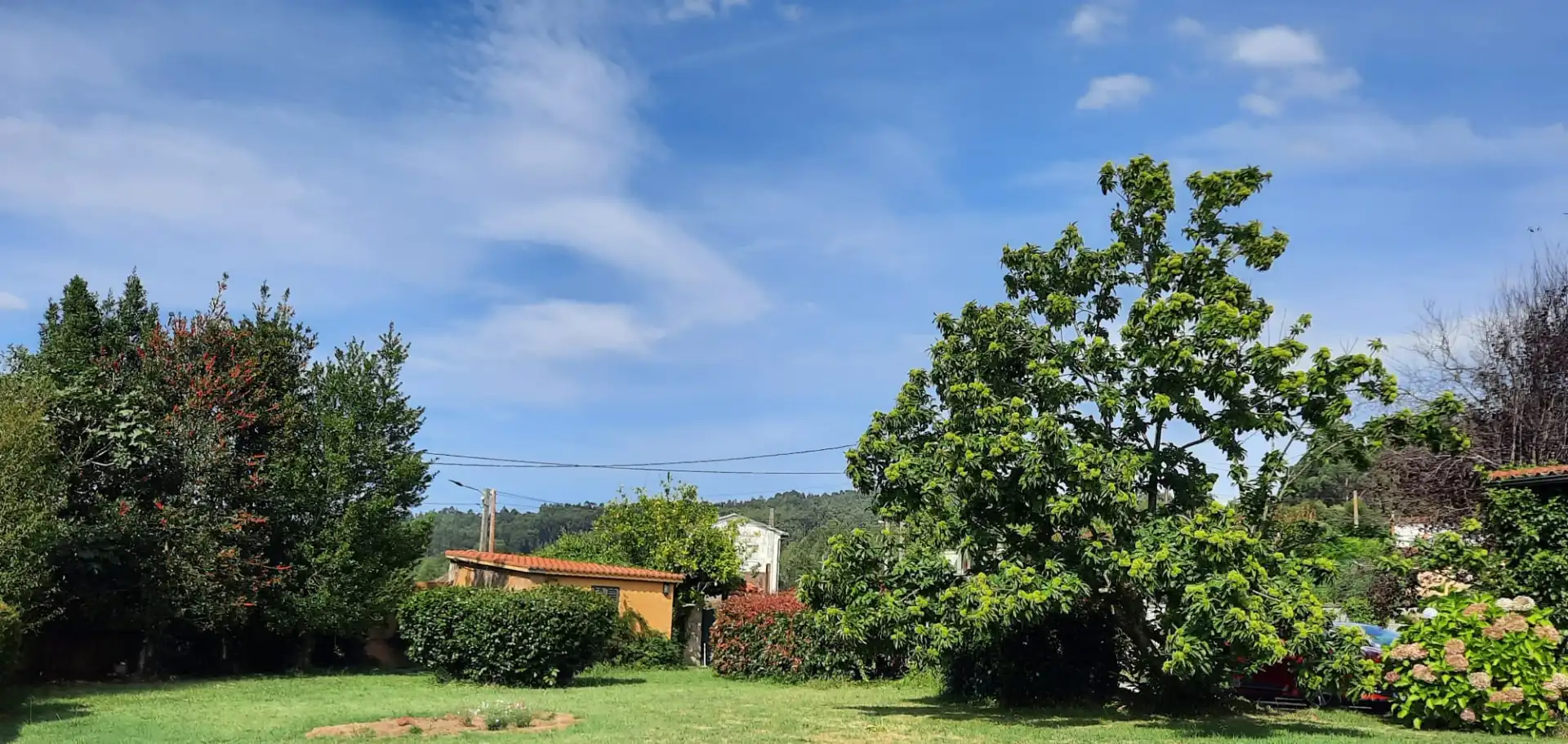 Chalet con piscina en venta en Perbes 60, imagen 80