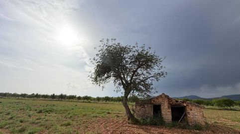 V15075 FINCA RUSTICA CON ANTIGUA EDIFICACIÓN, immagine 2