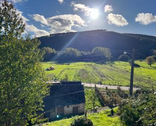 Vista exterior de Casa o xalet en venda en Laza amb Calefacció i Jardí privat