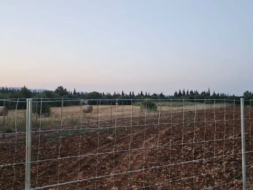 Land for sale in Inca