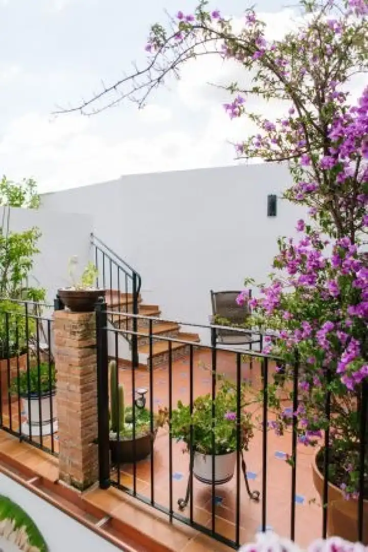 Terraza de Edificio en venta en Almodóvar del Río