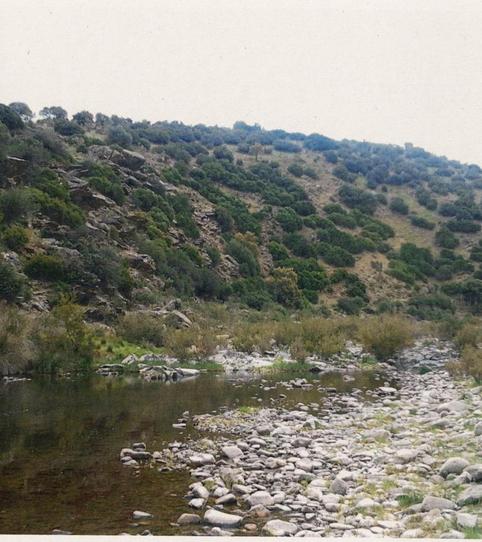 Photo 2 of Residential for sale in N/a, Mestanza, Ciudad Real