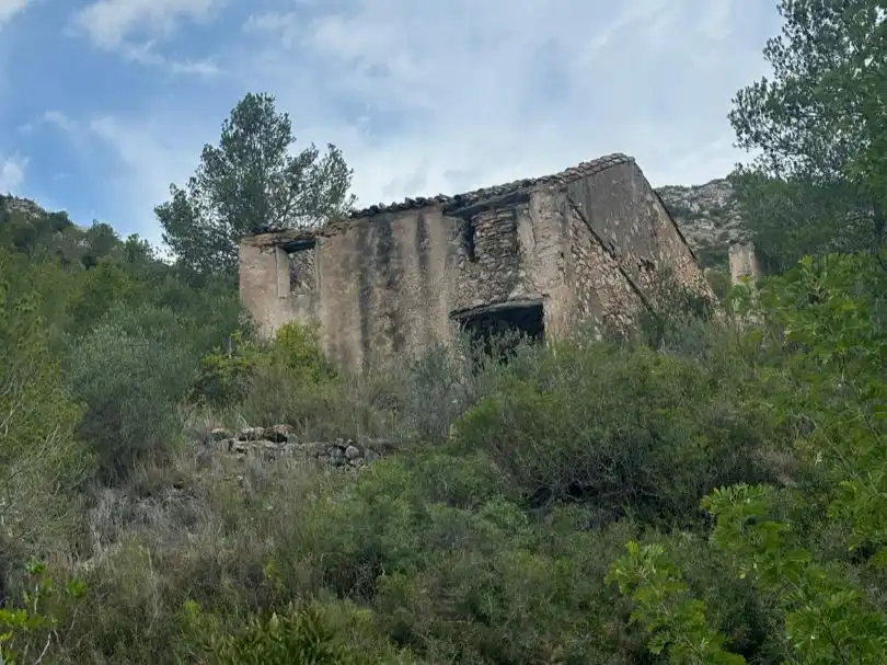 Vista exterior de Terreno en venta en Tivissa