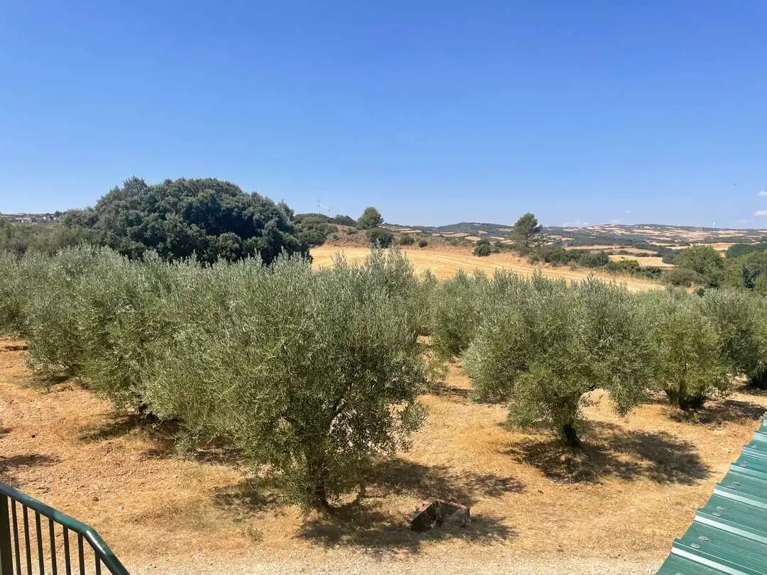 Terreno en venta en Pueyo / Puiu