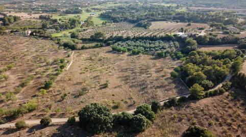 Photo 4 of Land for sale in Ma-4033, Zona d'Interior, Son Servera