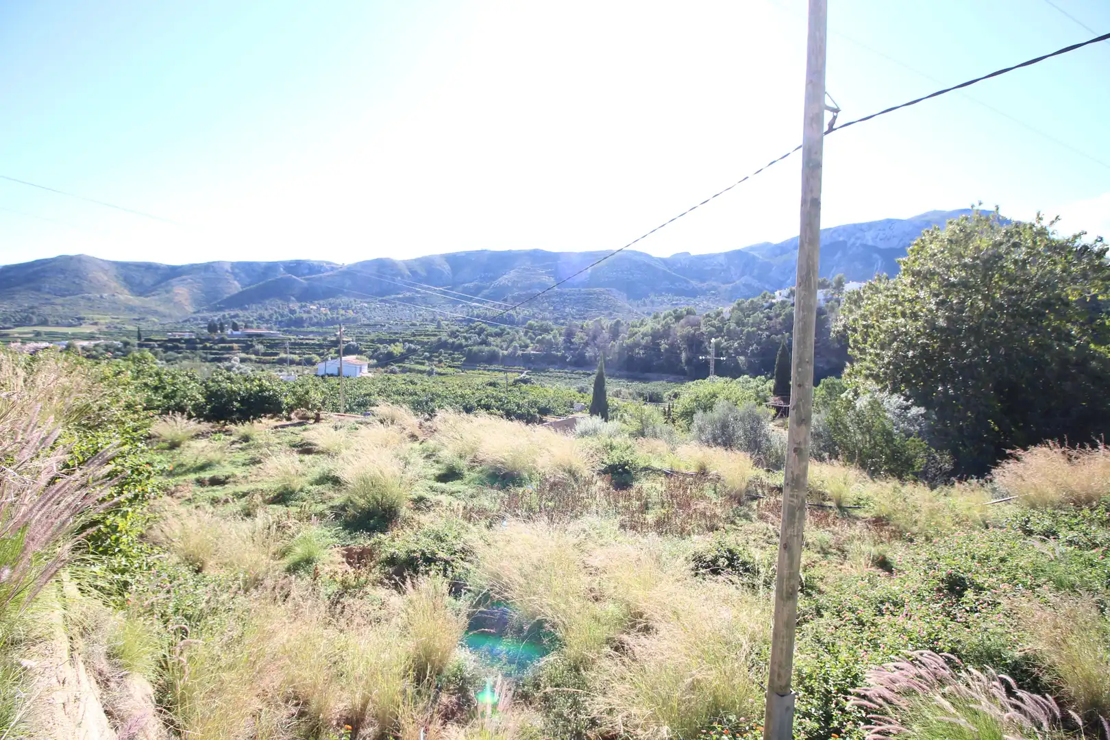 Rural land for sale in L'Atzúbia, imagen 9