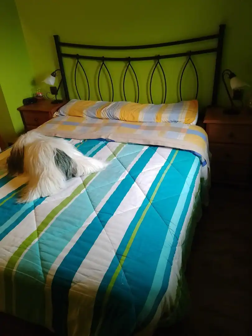 Bedroom of Houses for sale in Zierbena  with Heating, Terrace and Storage room