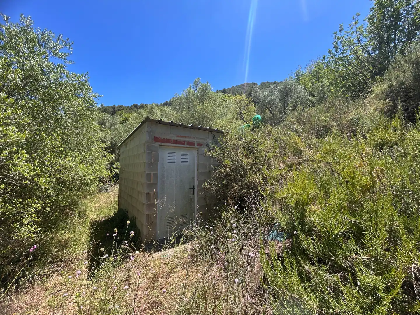 Country homes for sale in Alfondeguilla